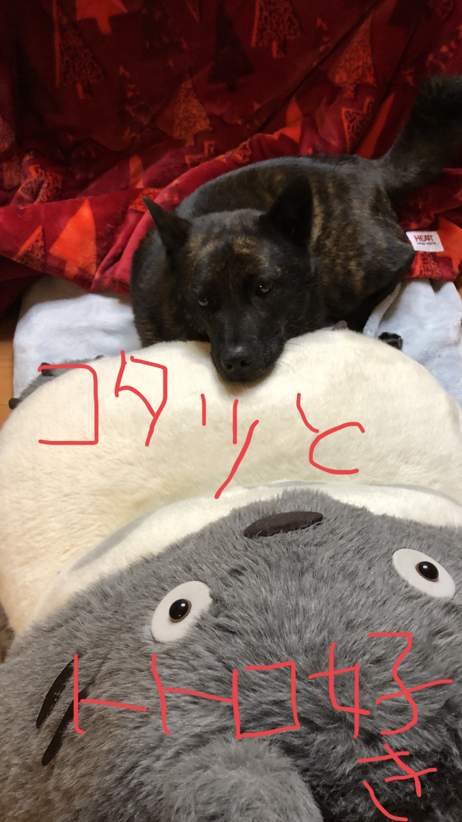 f:id:drunkard_kim:20200123080721j:plain