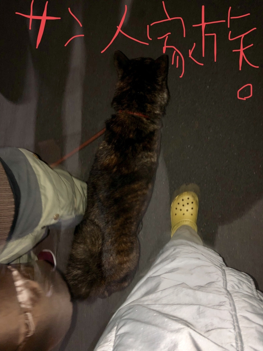 f:id:drunkard_kim:20200129075358j:plain