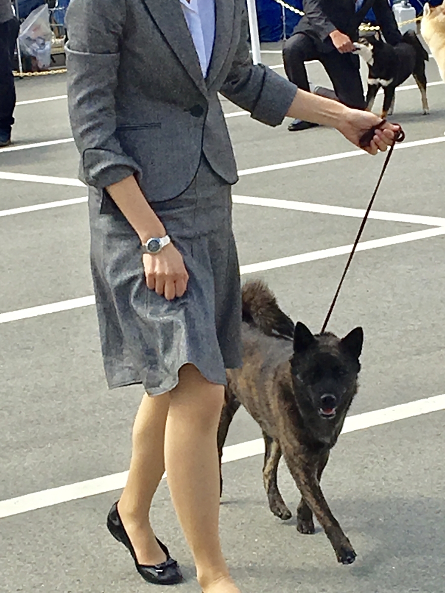 f:id:drunkard_kim:20200206084729j:plain