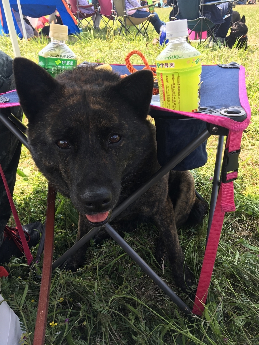 f:id:drunkard_kim:20200206084928j:plain