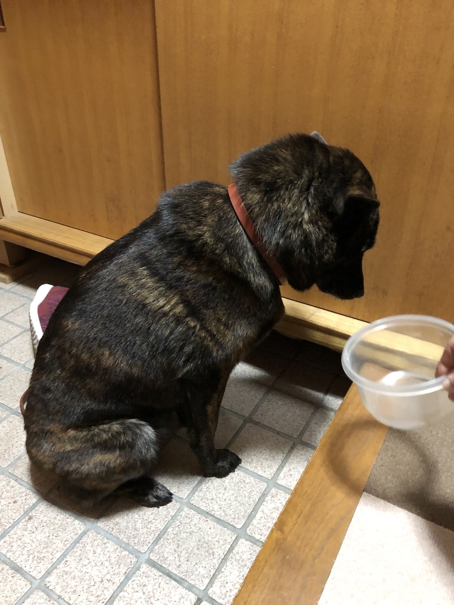 f:id:drunkard_kim:20200210075218j:plain