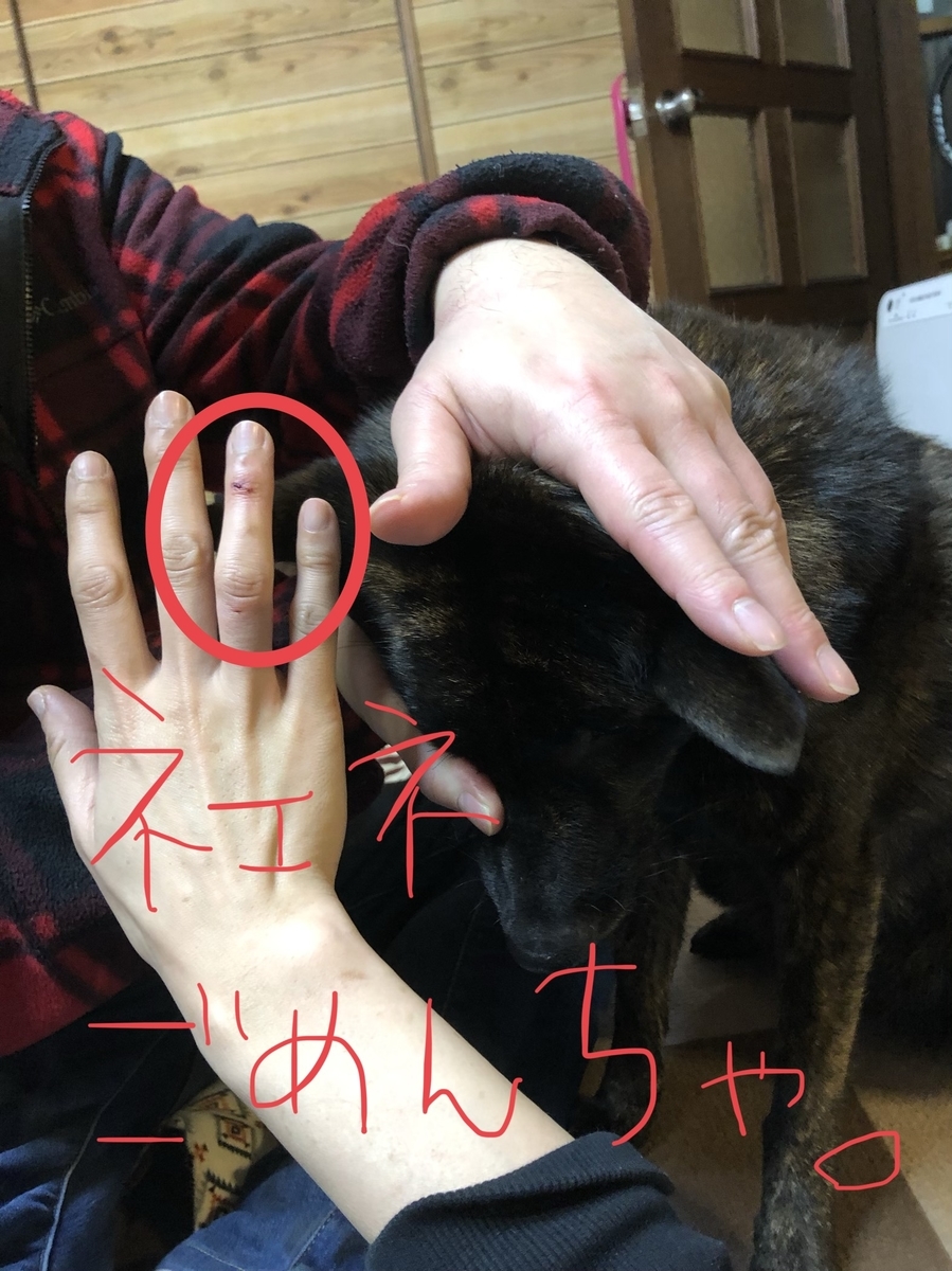f:id:drunkard_kim:20200218144833j:plain