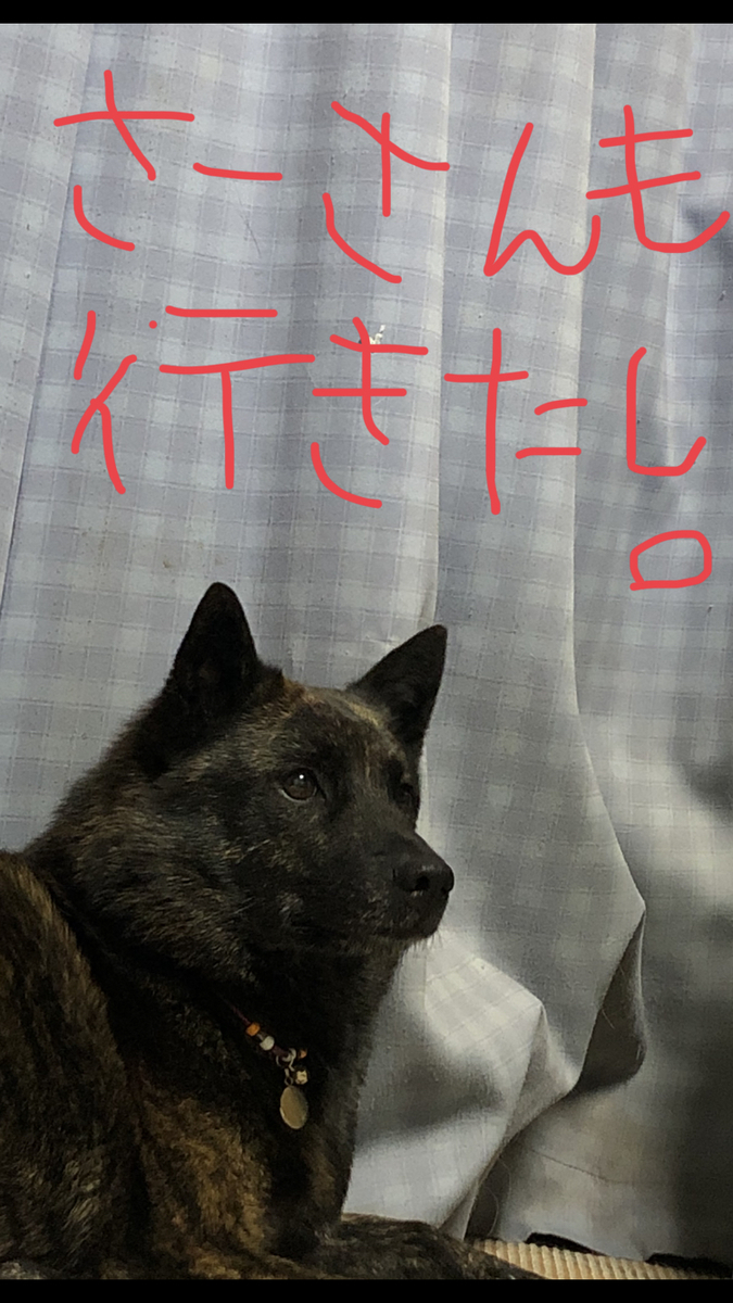 f:id:drunkard_kim:20200305075933j:plain