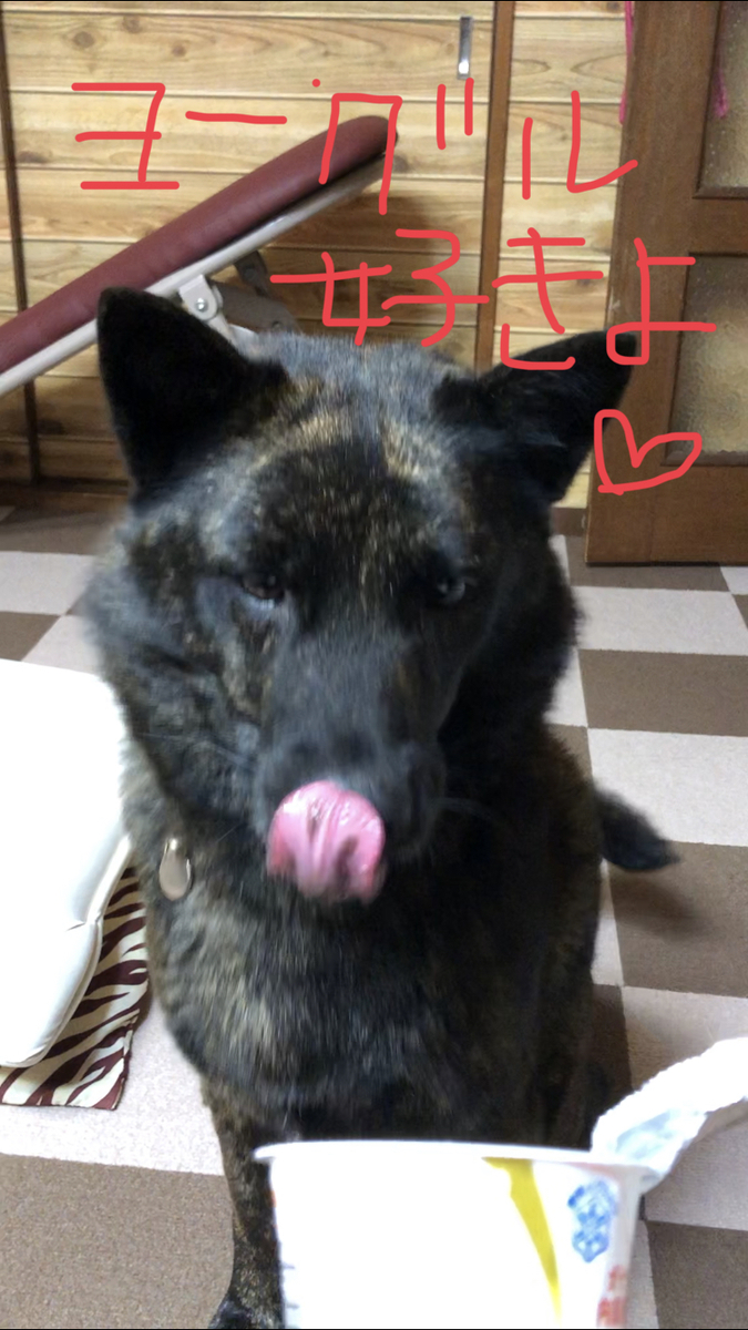 f:id:drunkard_kim:20200315212507j:plain