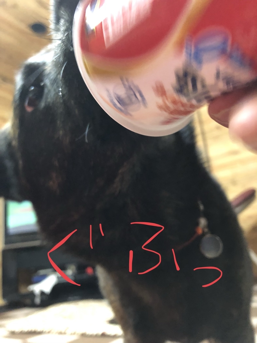 f:id:drunkard_kim:20200321091715j:plain