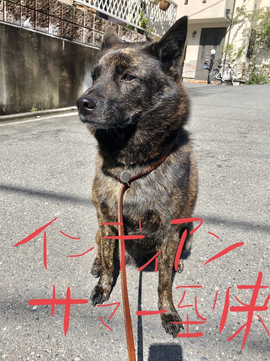 f:id:drunkard_kim:20200329100952j:plain