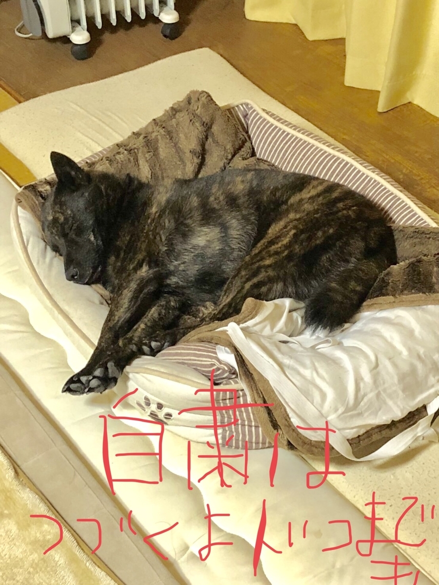 f:id:drunkard_kim:20200331142740j:plain