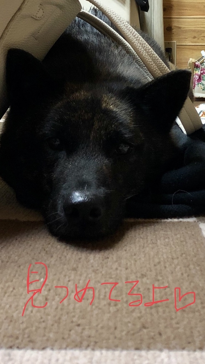 f:id:drunkard_kim:20200404082058j:plain