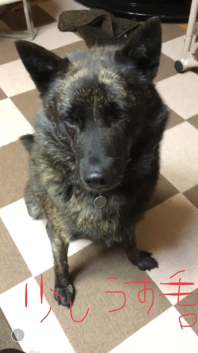 f:id:drunkard_kim:20200511094644j:plain