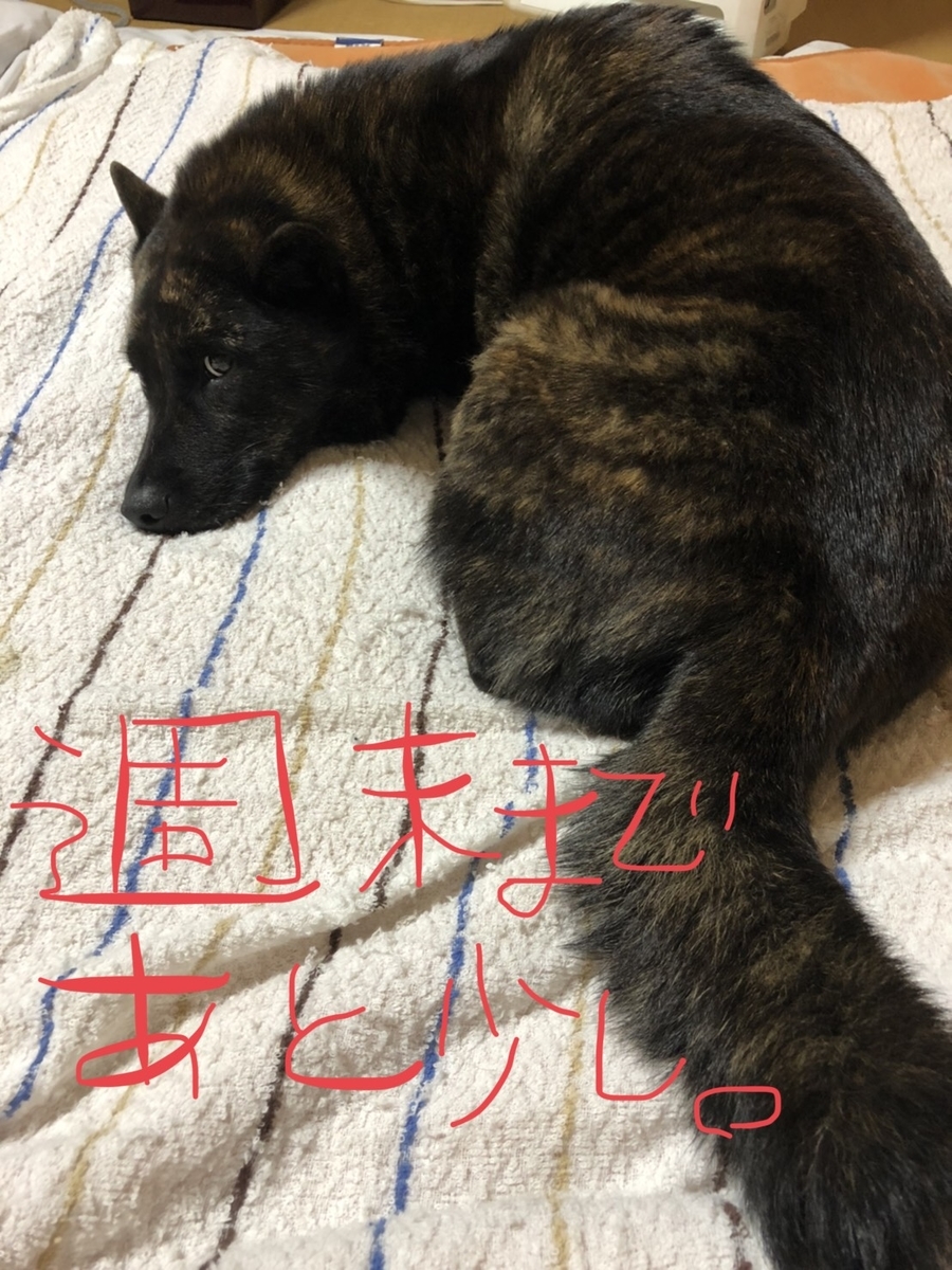 f:id:drunkard_kim:20200516122335j:plain