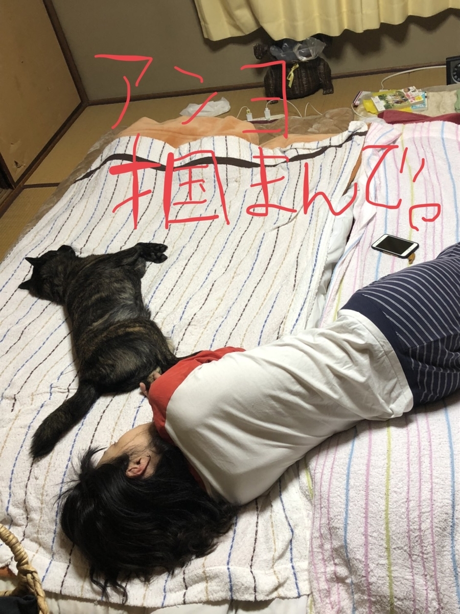 f:id:drunkard_kim:20200520080115j:plain