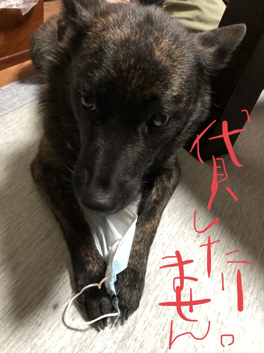 f:id:drunkard_kim:20200521080416j:plain