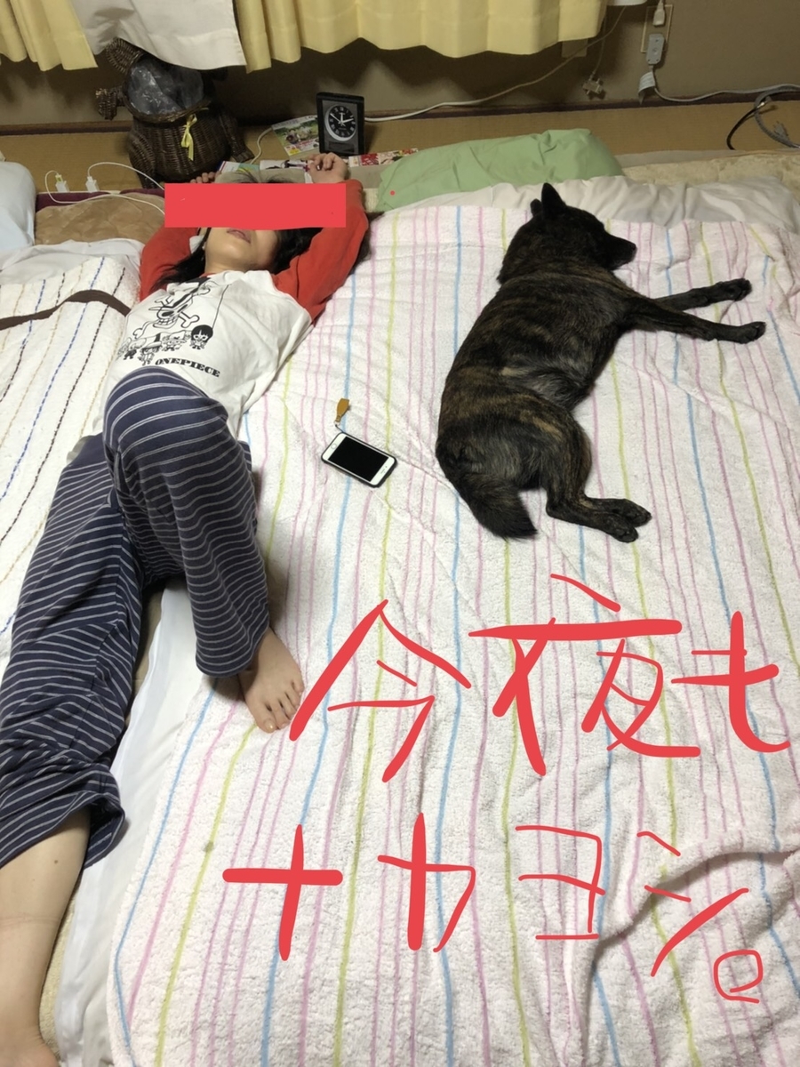 f:id:drunkard_kim:20200523083545j:plain
