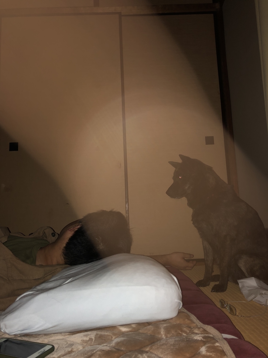 f:id:drunkard_kim:20200524083421j:plain