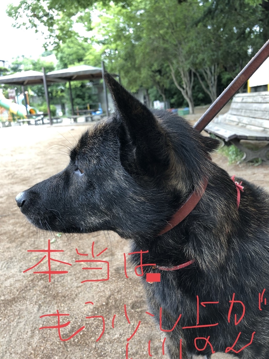 f:id:drunkard_kim:20200526104722j:plain