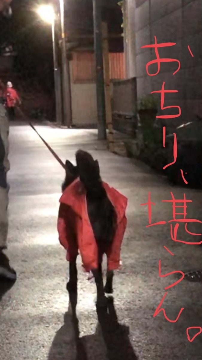 f:id:drunkard_kim:20200527080012j:plain