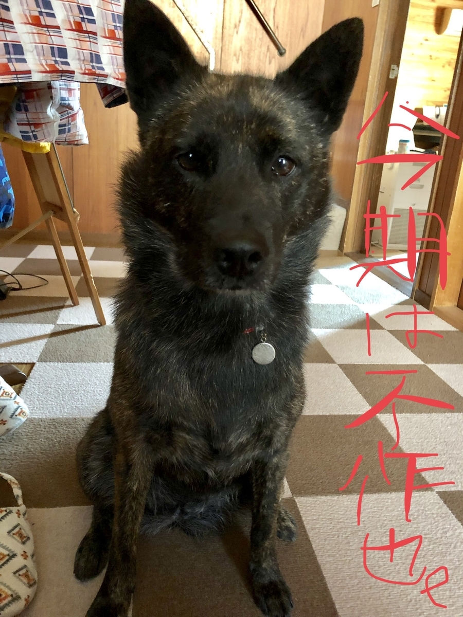 f:id:drunkard_kim:20200529081252j:plain f:id:drunkard_kim:20200529081252j:plain