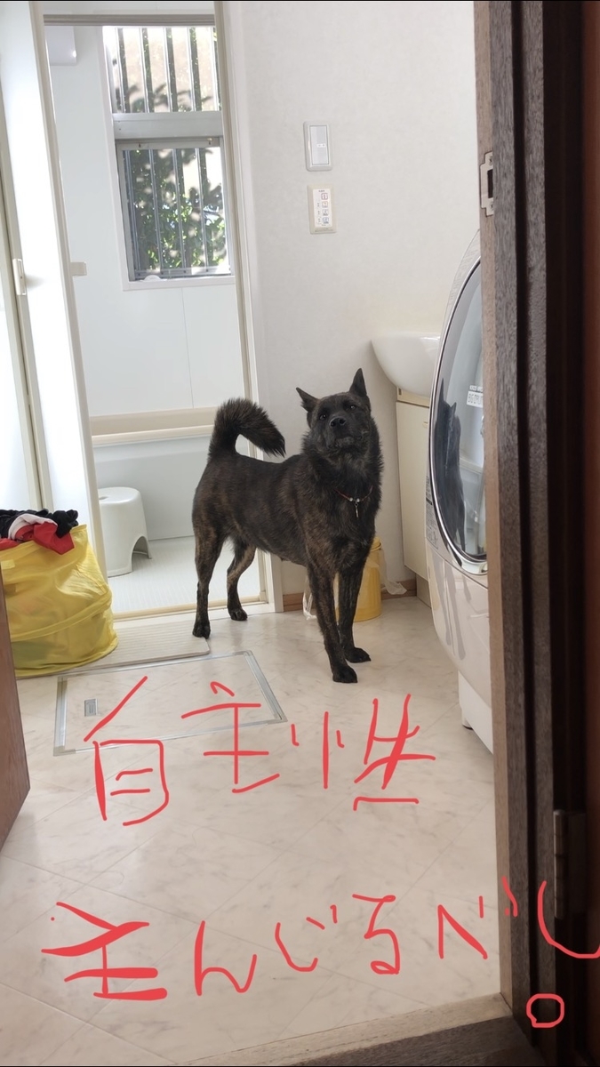 f:id:drunkard_kim:20200603080044j:plain