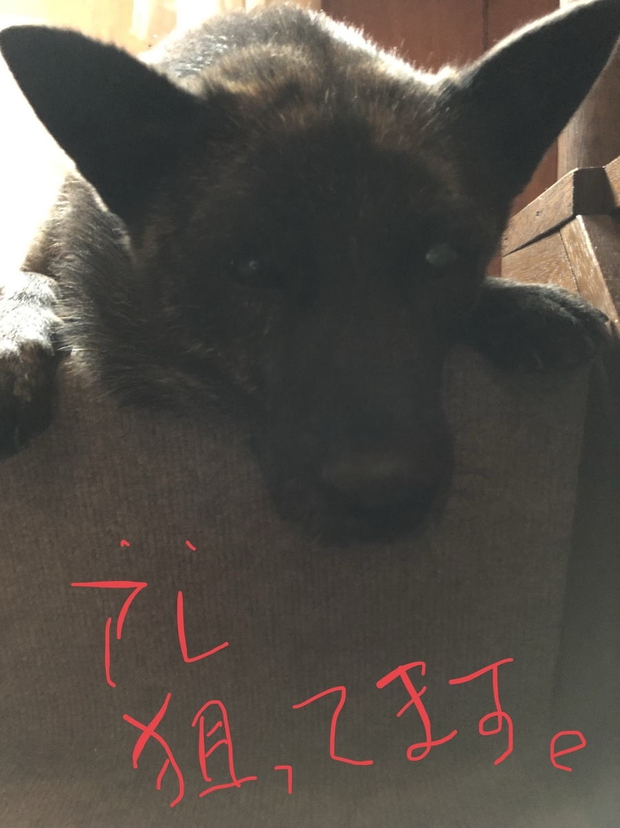 f:id:drunkard_kim:20200606075748j:plain