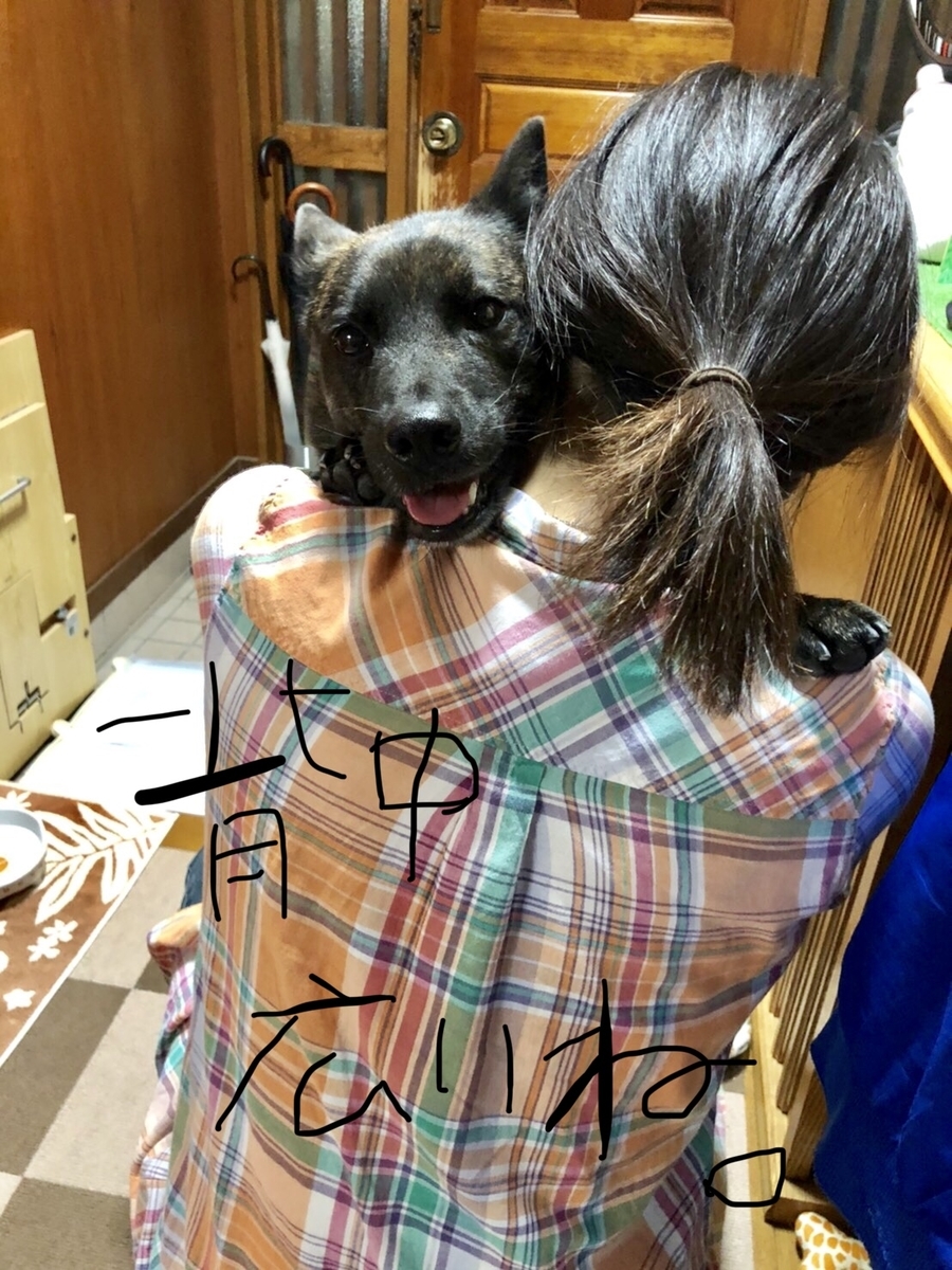 f:id:drunkard_kim:20200607133229j:plain