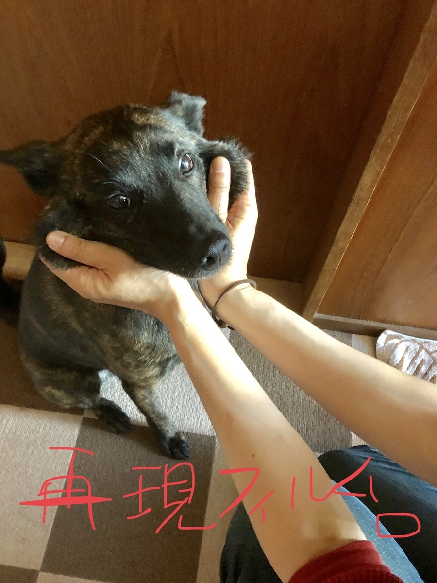 f:id:drunkard_kim:20200608093259j:plain