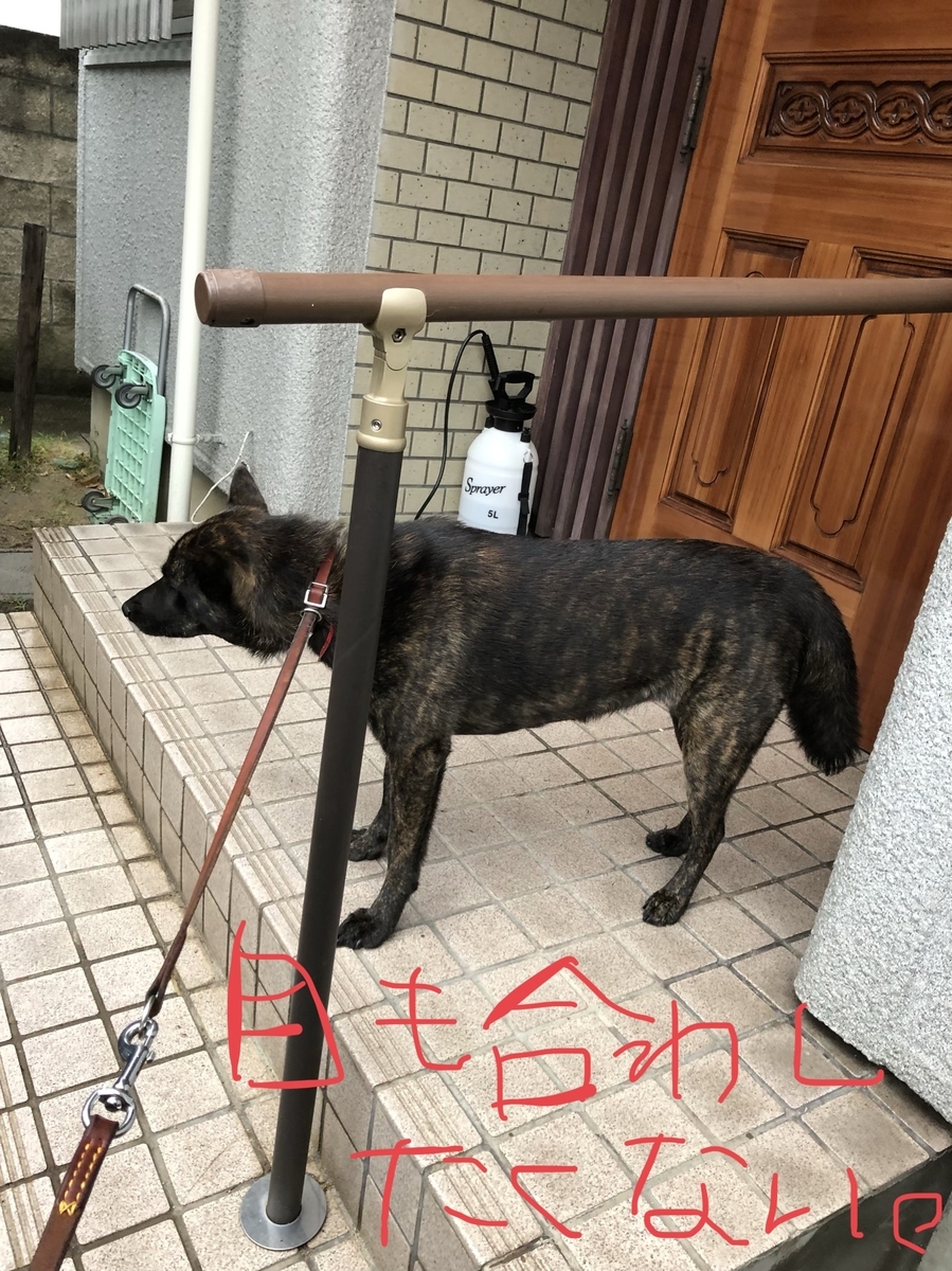 f:id:drunkard_kim:20200612080451j:plain