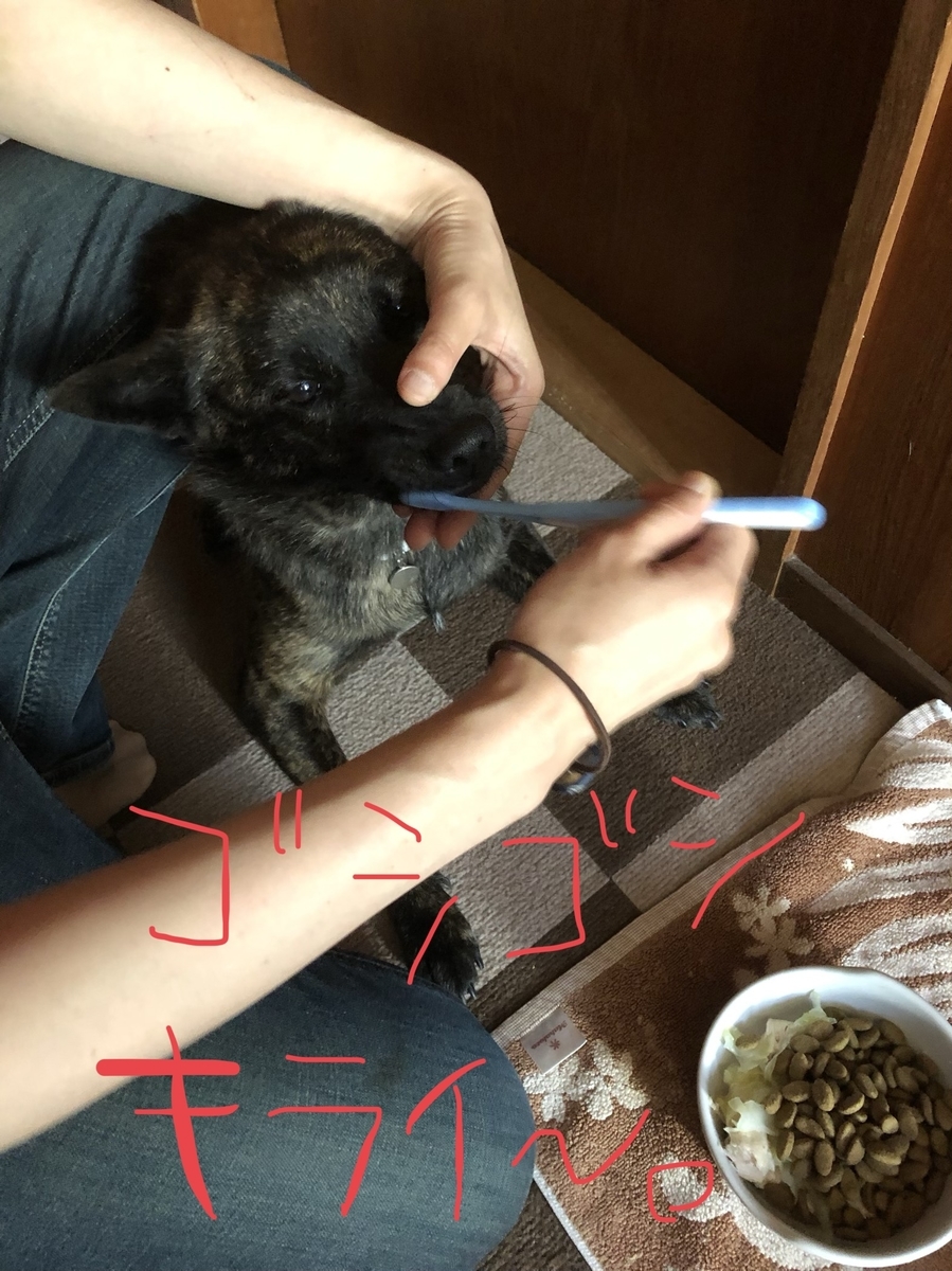 f:id:drunkard_kim:20200613081533j:plain f:id:drunkard_kim:20200613081533j:plain