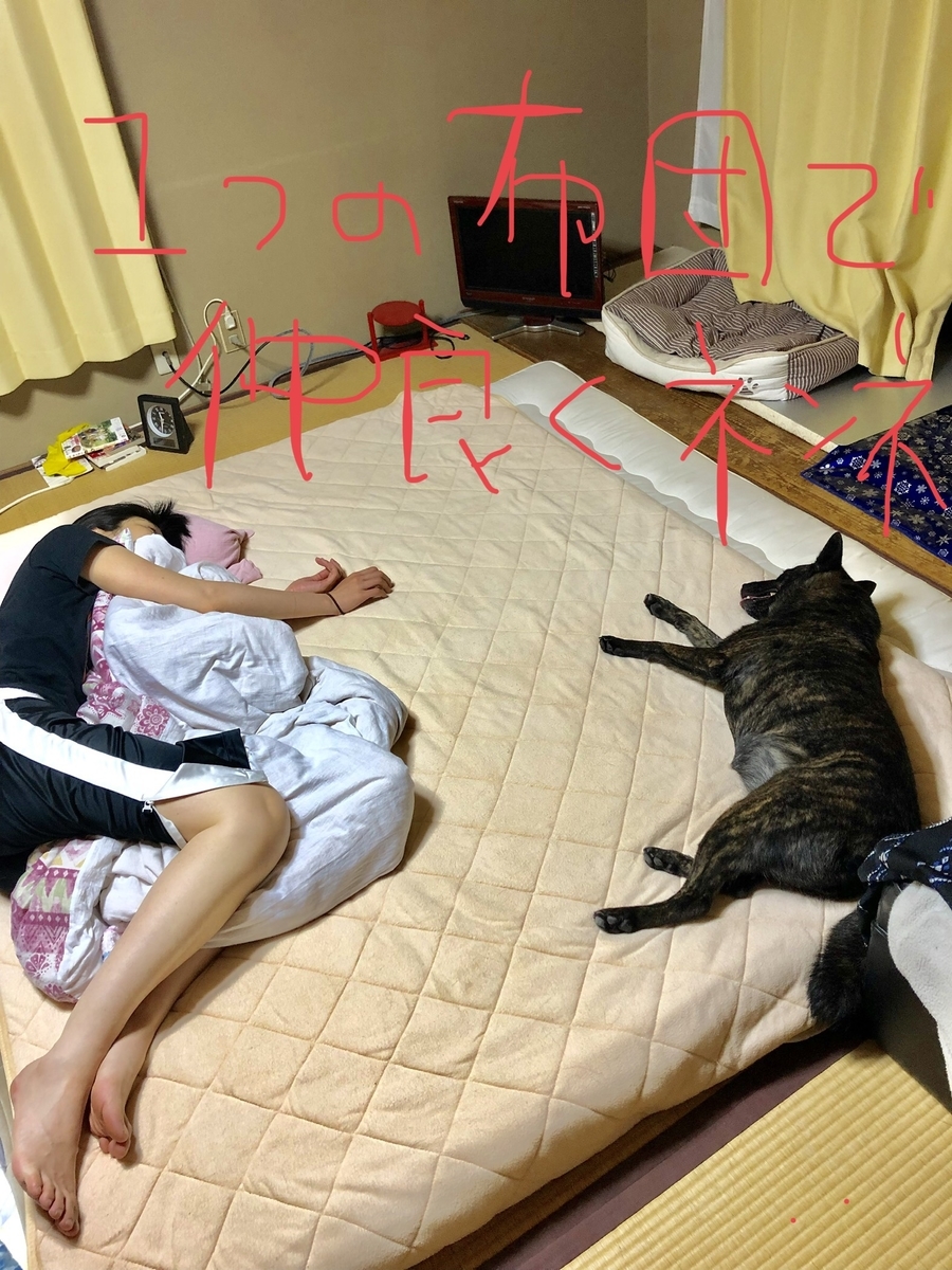 f:id:drunkard_kim:20200616113827j:plain