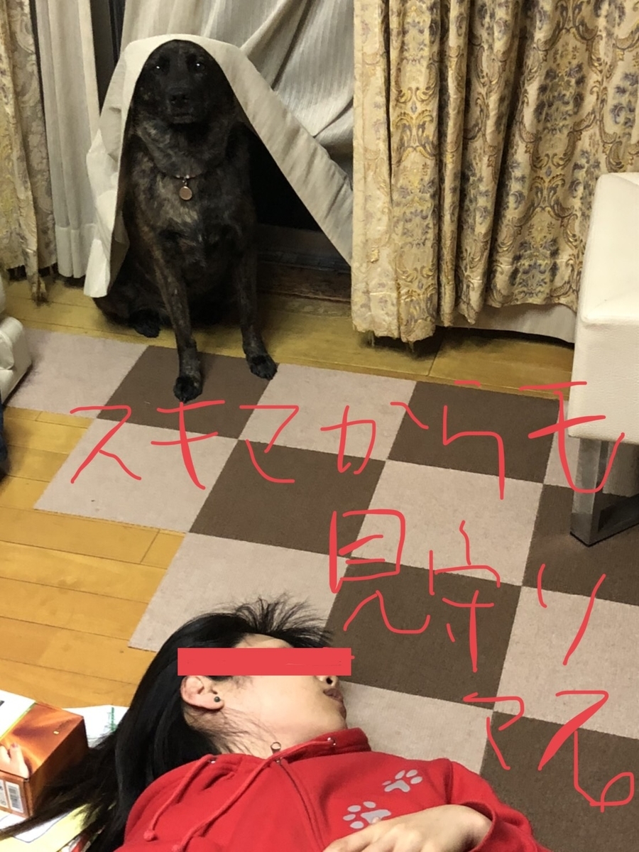f:id:drunkard_kim:20200620082853j:plain