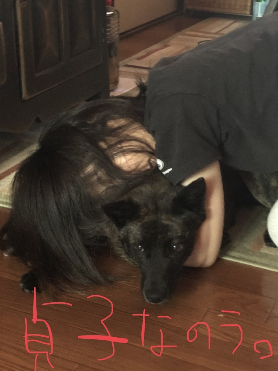 f:id:drunkard_kim:20200623215623j:plain