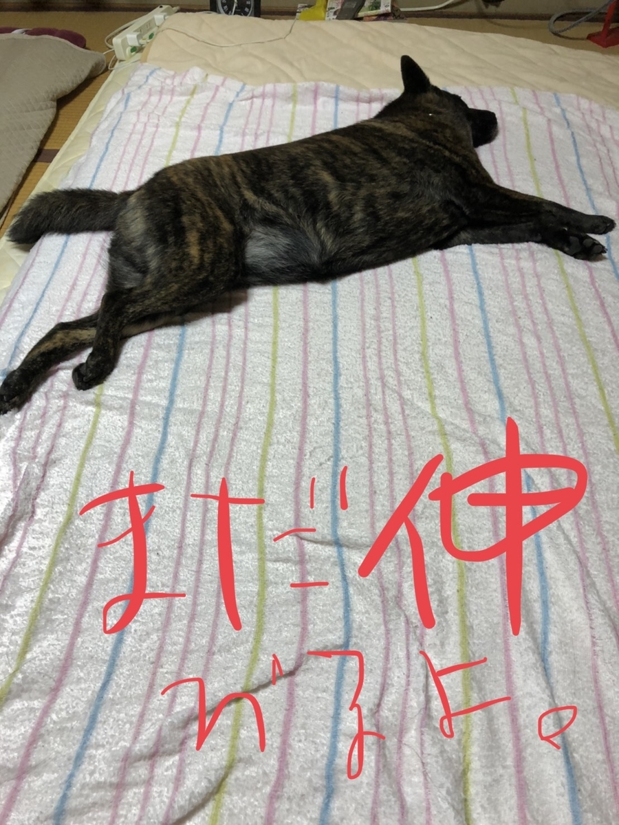 f:id:drunkard_kim:20200624075246j:plain