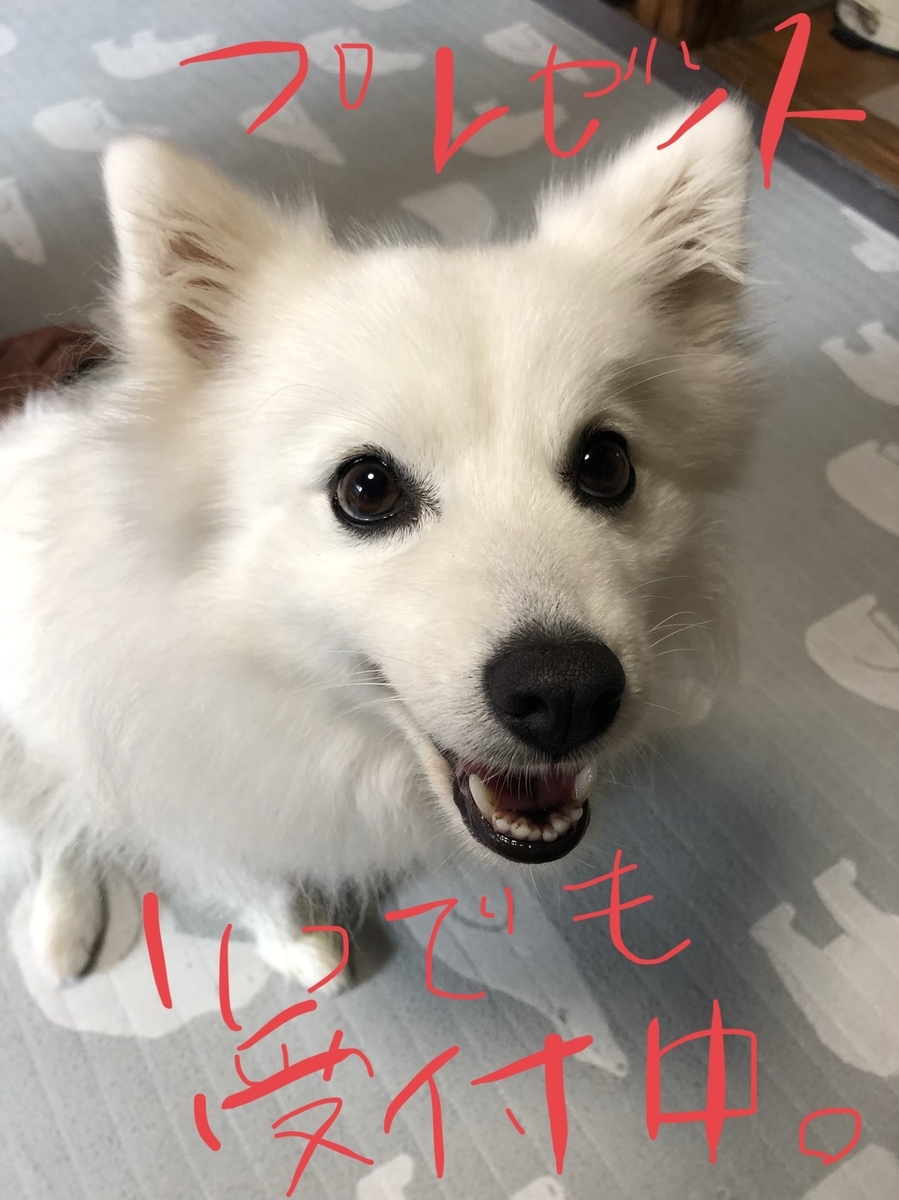f:id:drunkard_kim:20200625080230j:plain