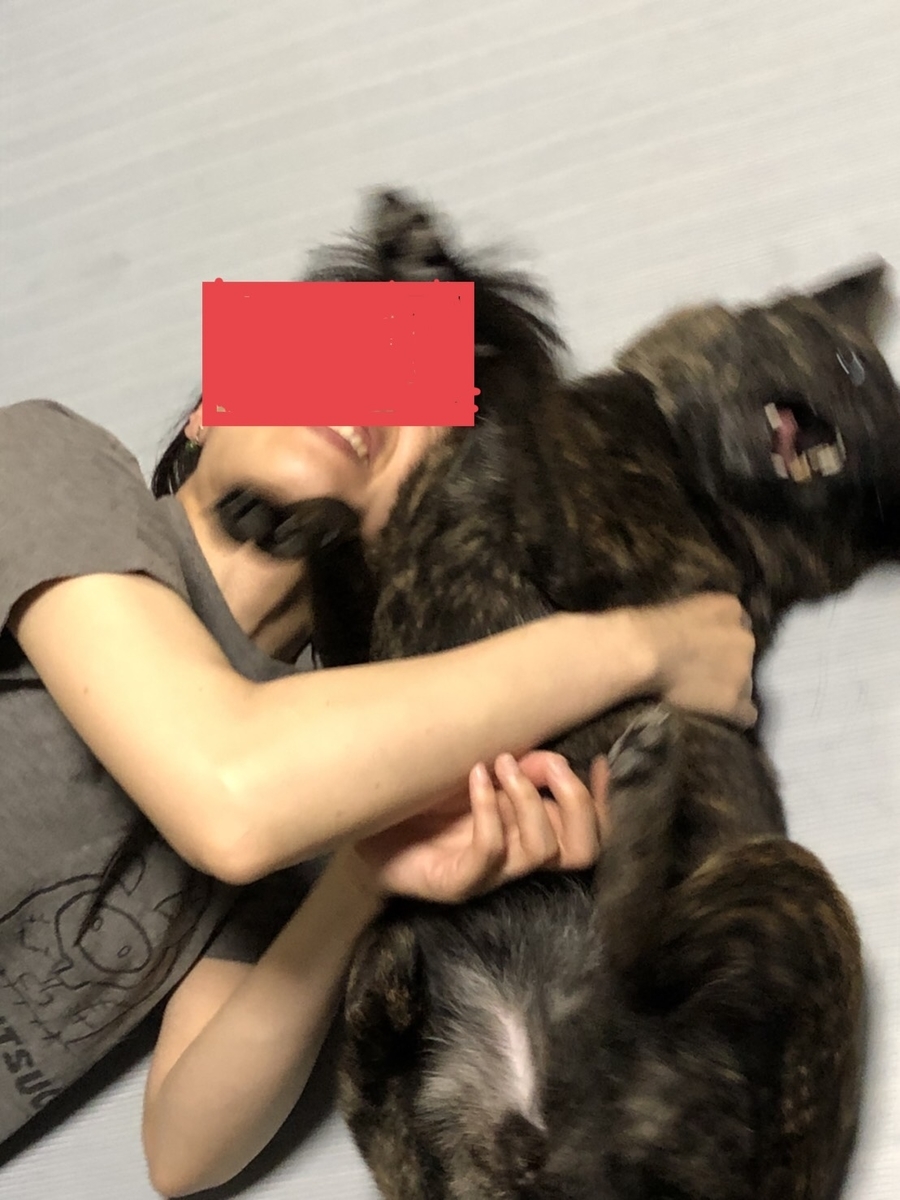f:id:drunkard_kim:20200630123922j:plain
