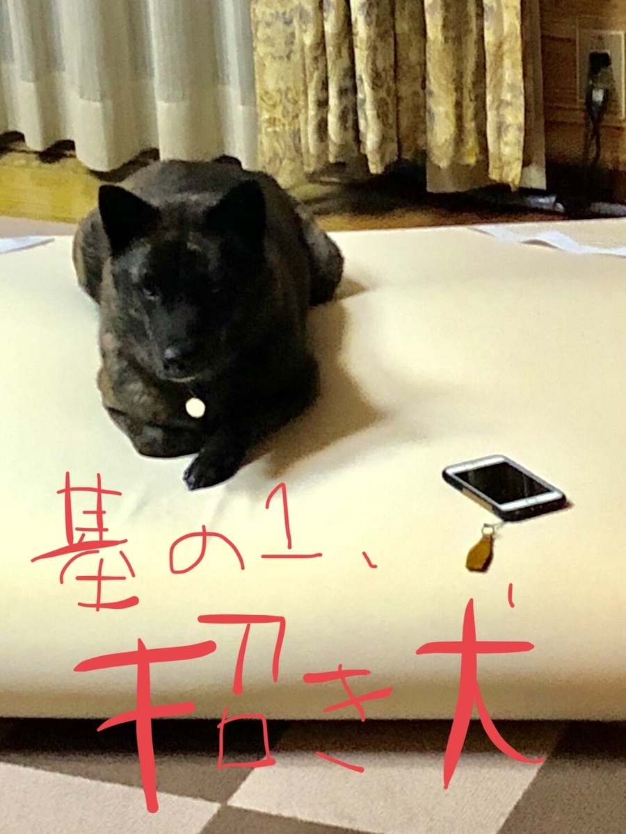 f:id:drunkard_kim:20200709101005j:plain