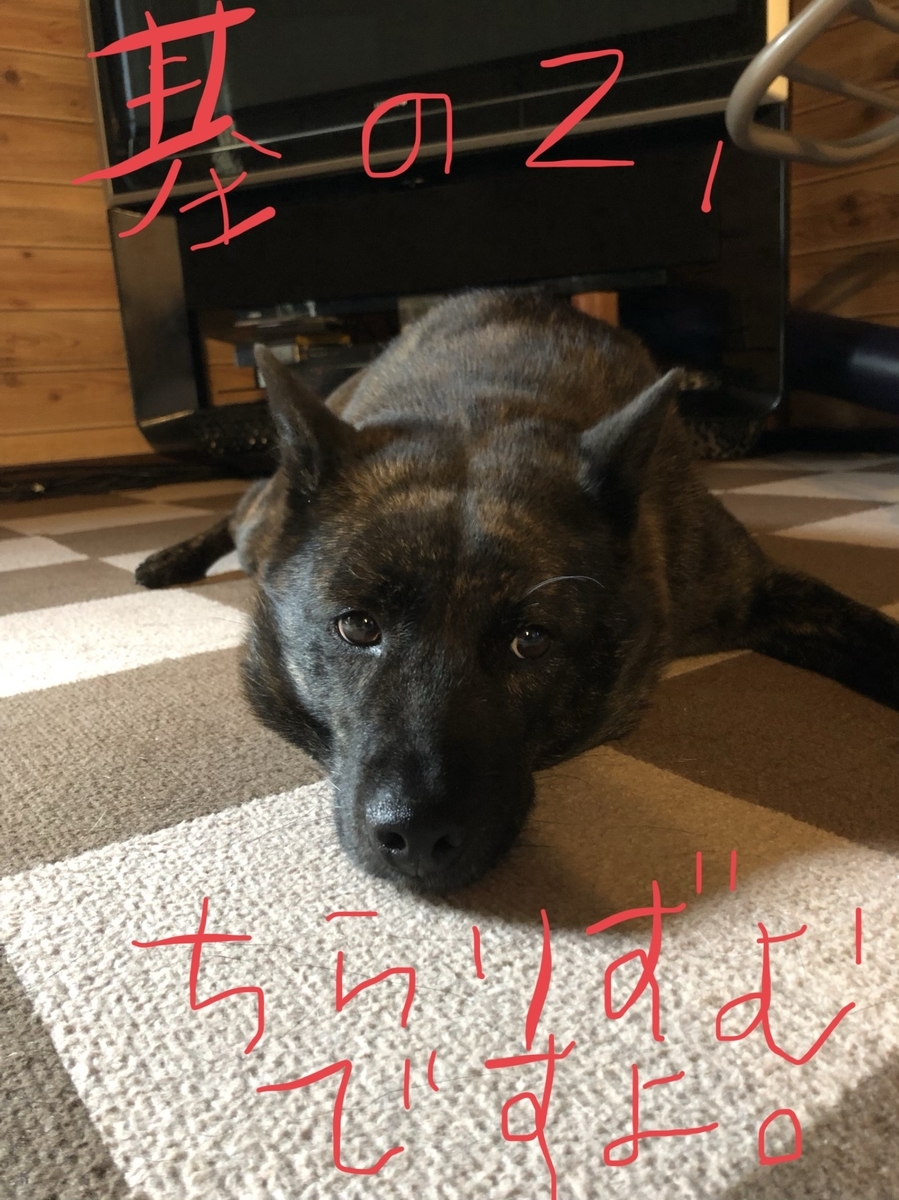 f:id:drunkard_kim:20200710075933j:plain