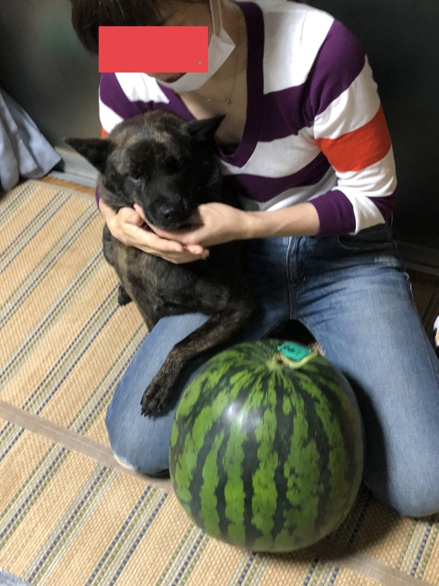 f:id:drunkard_kim:20200719100412j:plain