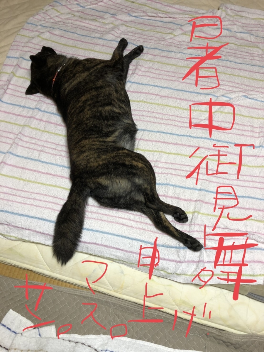 f:id:drunkard_kim:20200721112609j:plain