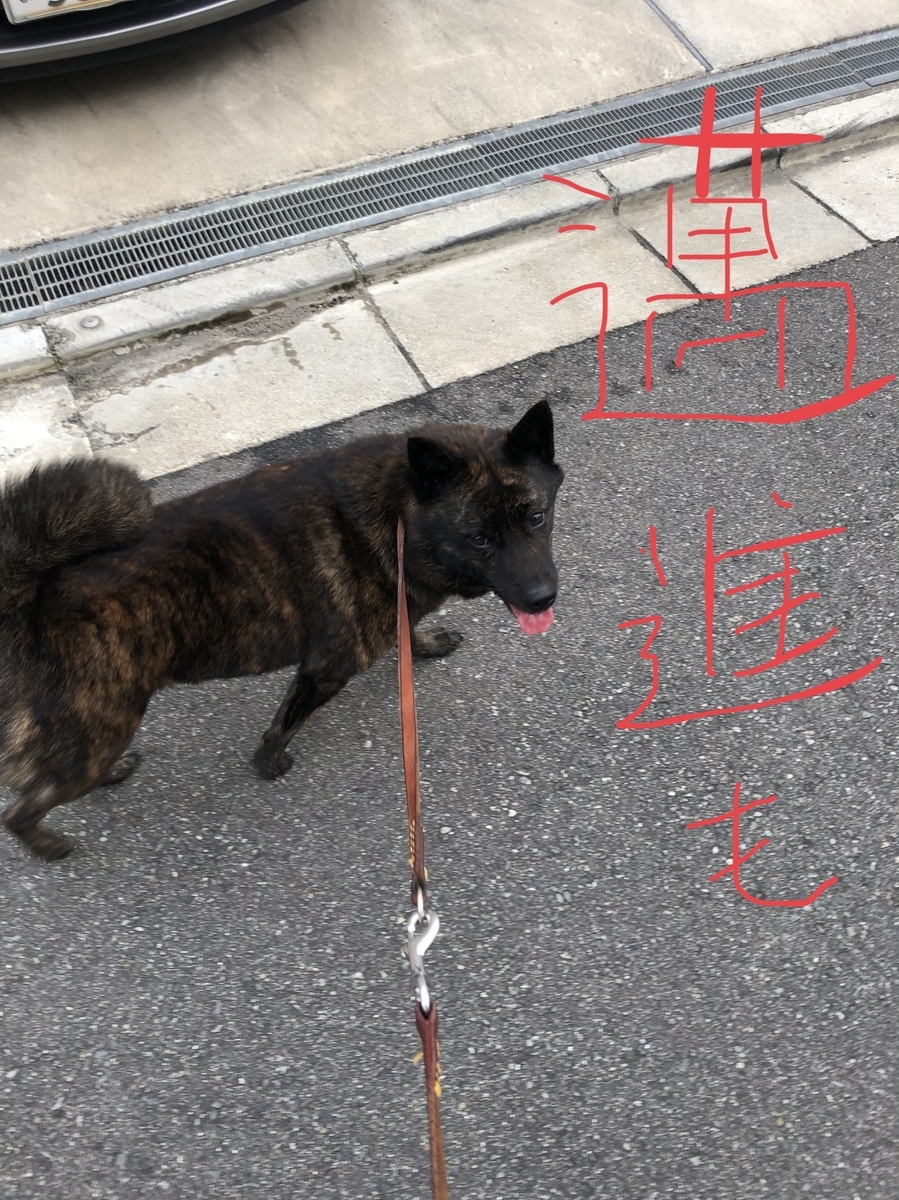 f:id:drunkard_kim:20200807071129j:plain