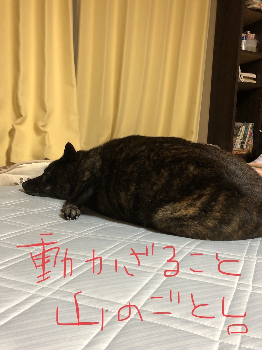 f:id:drunkard_kim:20200808081713j:plain