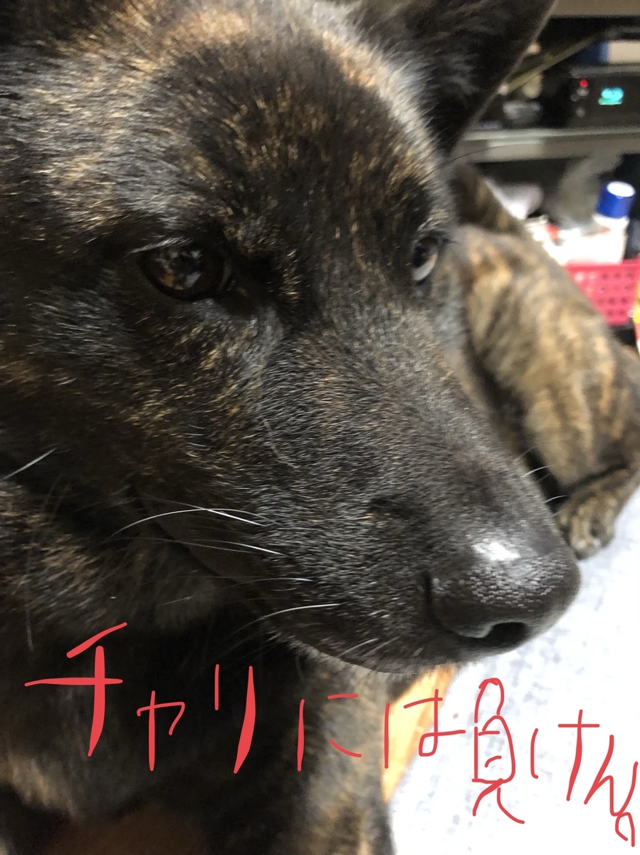 f:id:drunkard_kim:20200810173439j:plain