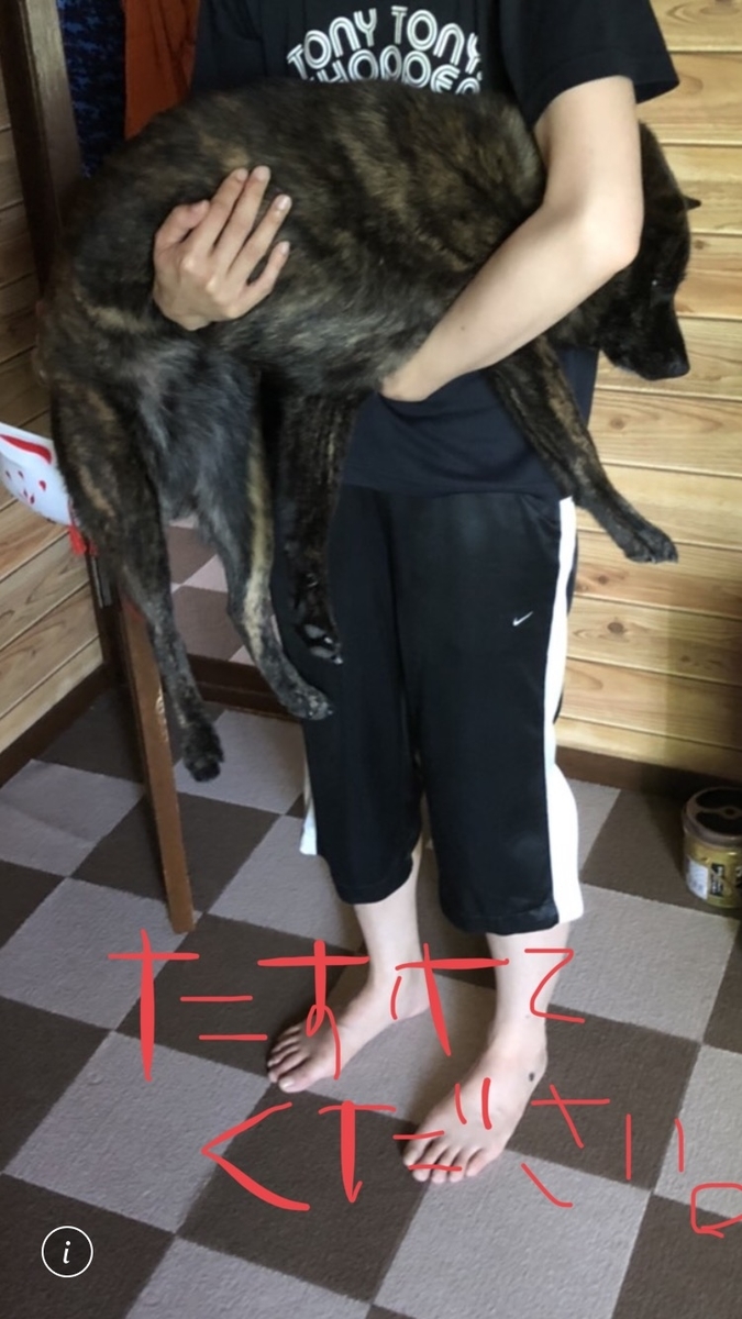 f:id:drunkard_kim:20200823144012j:plain