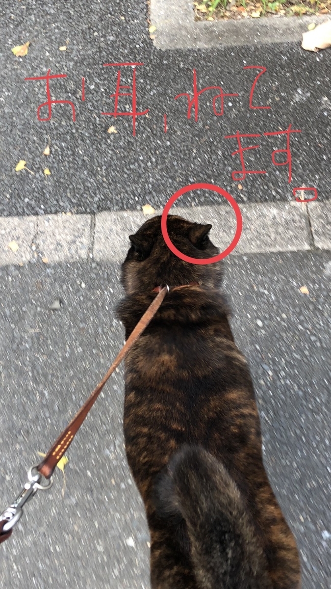 f:id:drunkard_kim:20200824081326j:plain