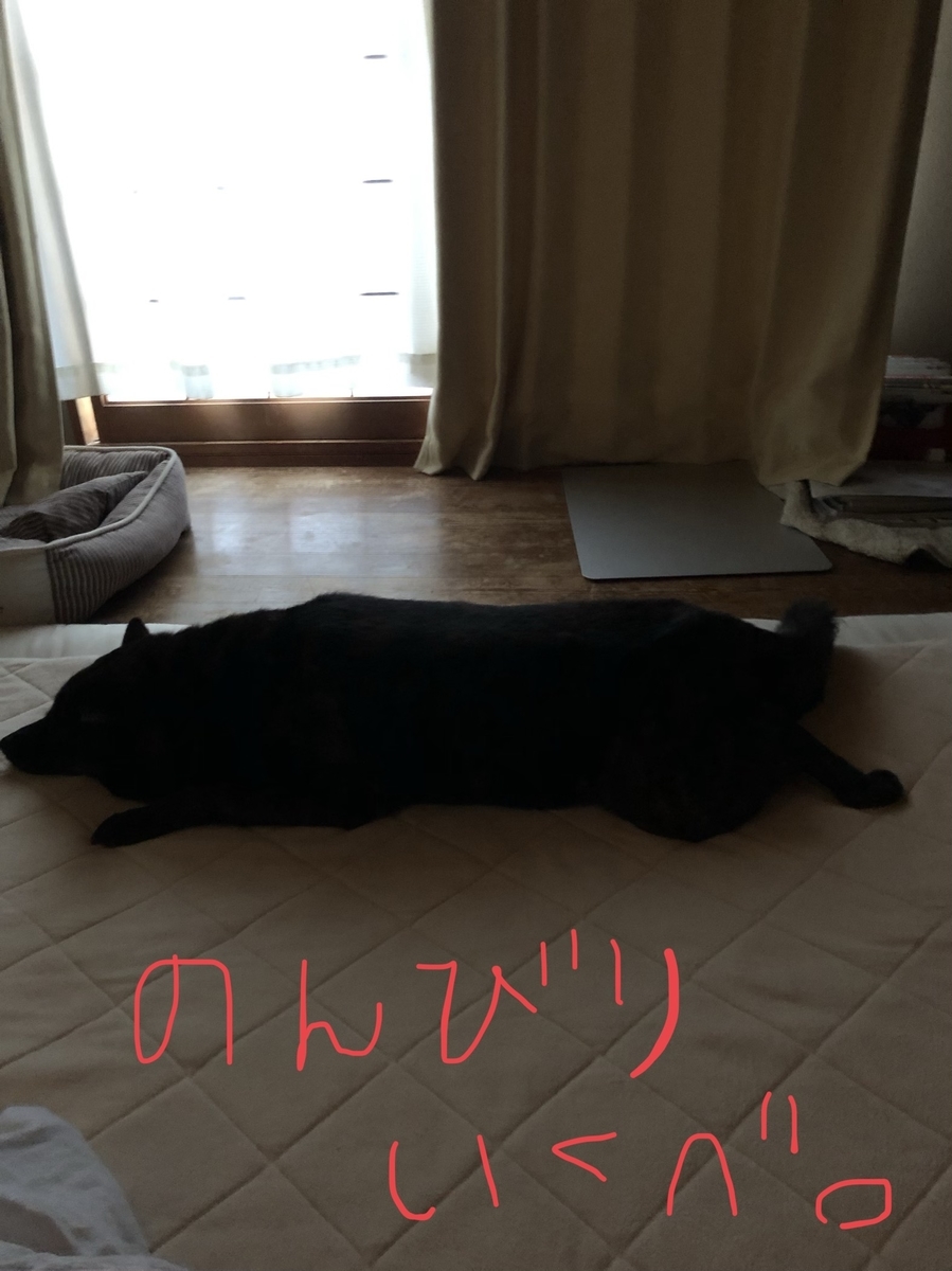 f:id:drunkard_kim:20200826122504j:plain