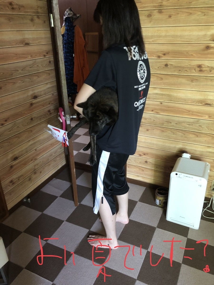 f:id:drunkard_kim:20200831075930j:plain