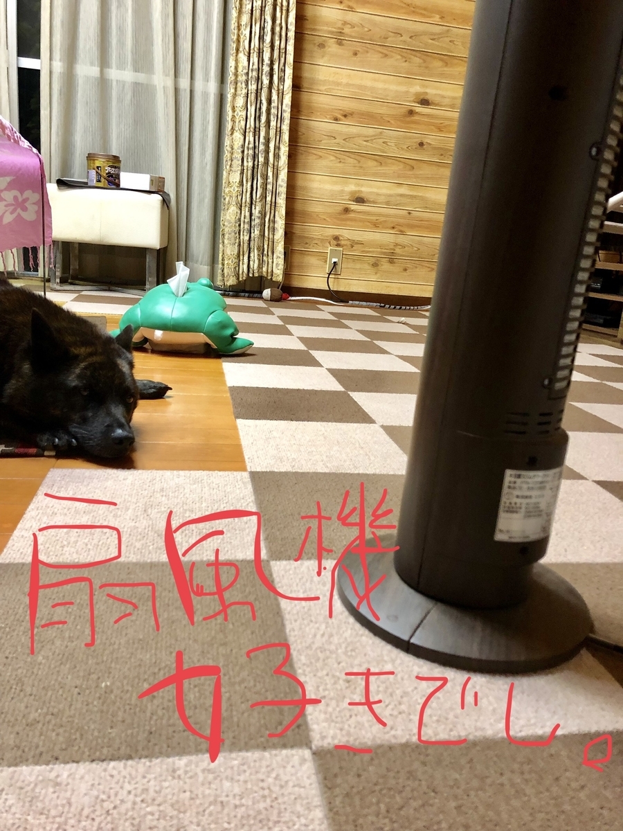 f:id:drunkard_kim:20200911074946j:plain