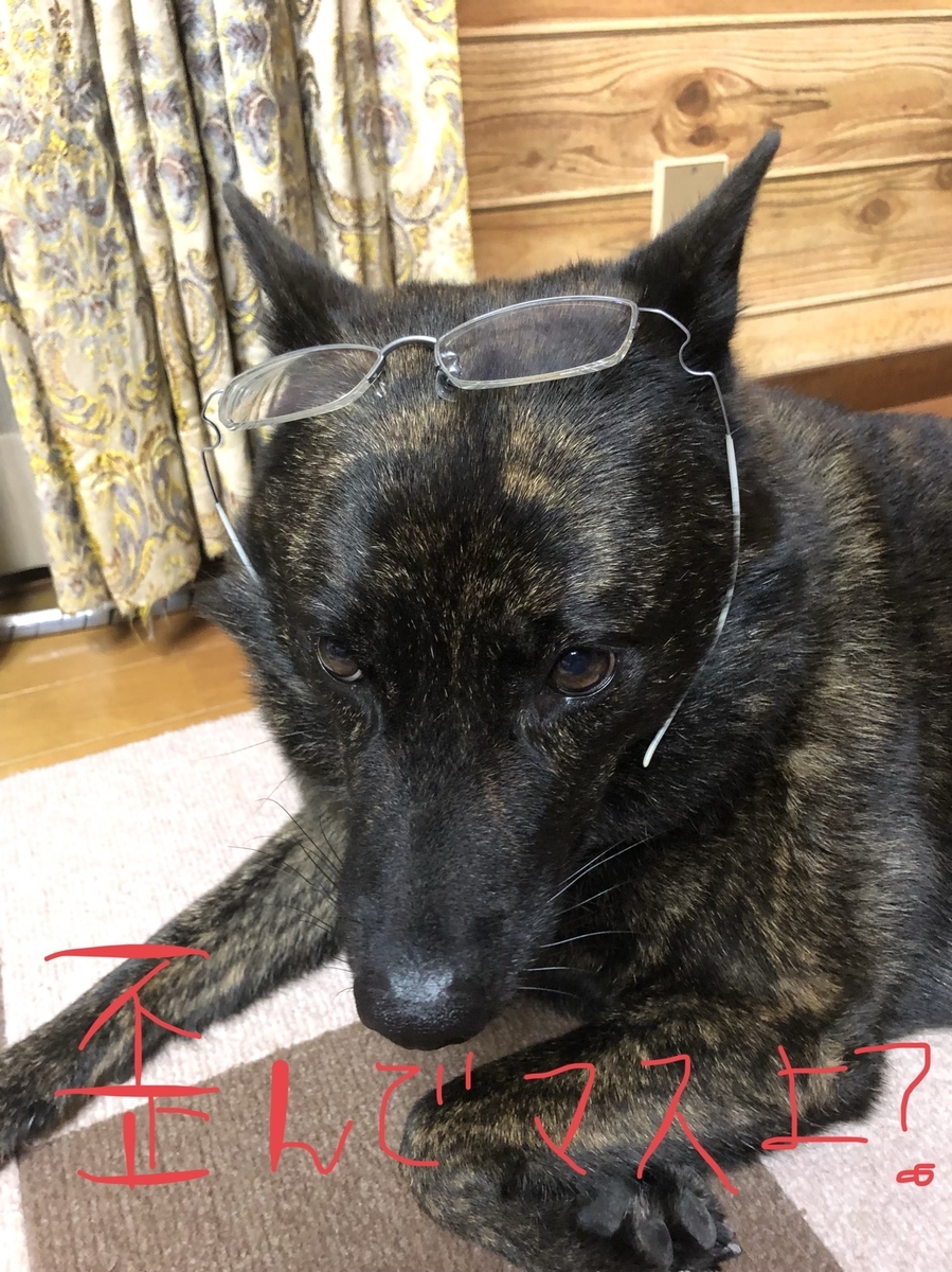 f:id:drunkard_kim:20200912075742j:plain