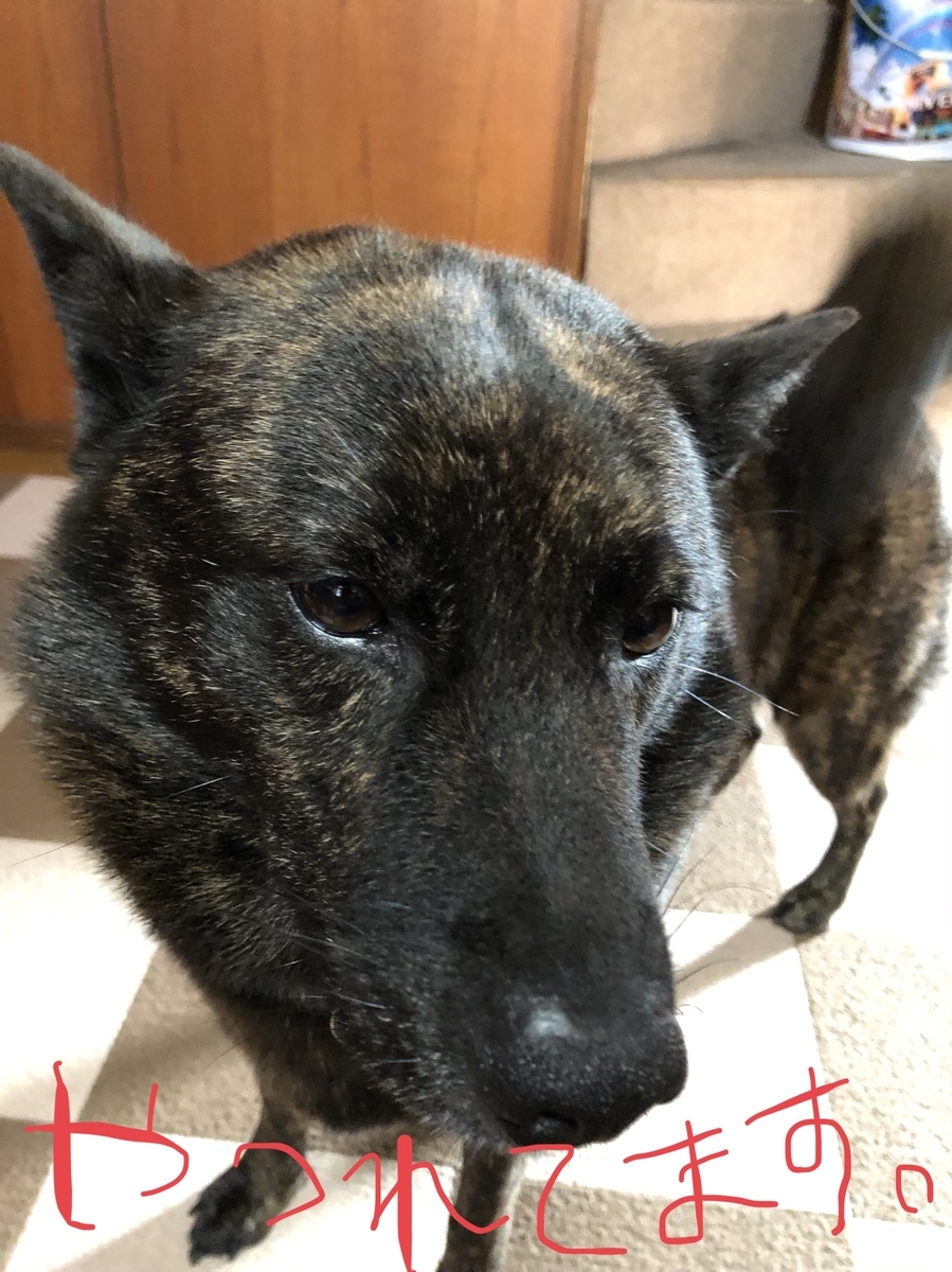 f:id:drunkard_kim:20200914080052j:plain