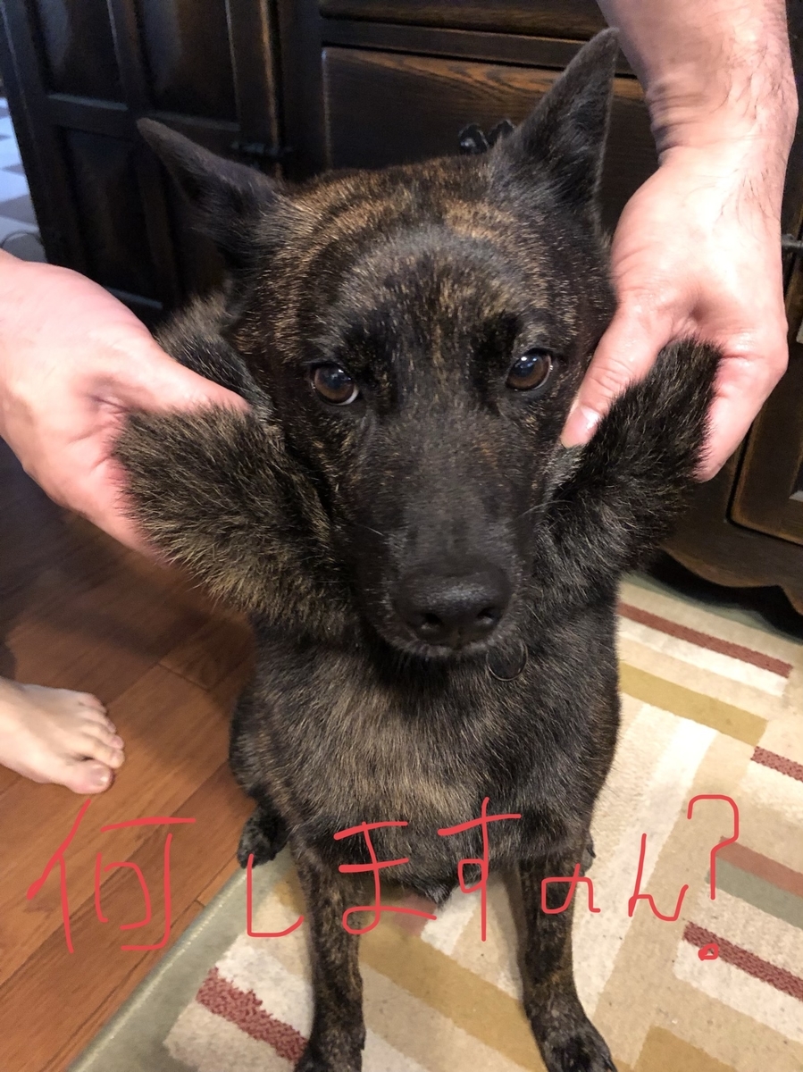 f:id:drunkard_kim:20200916080937j:plain