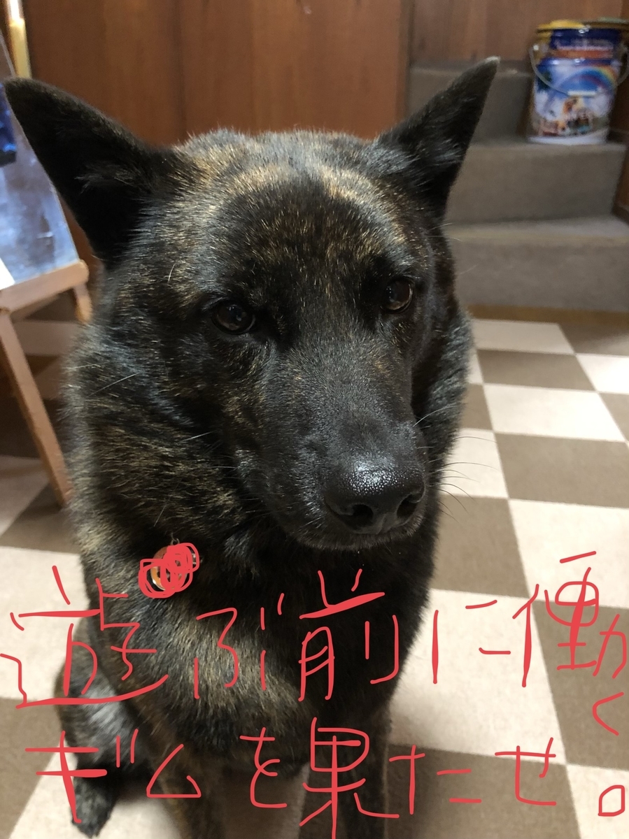 f:id:drunkard_kim:20200924081817j:plain