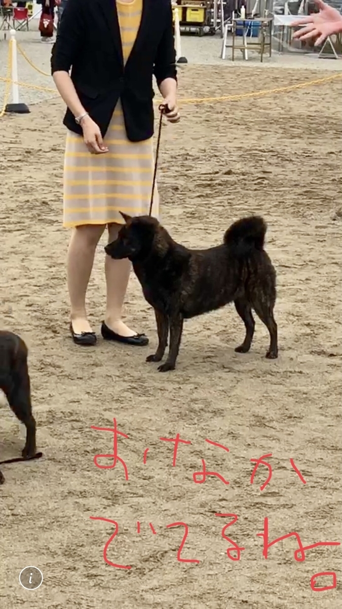 f:id:drunkard_kim:20200926153051j:plain
